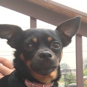 Meet your Posher, Cecilia